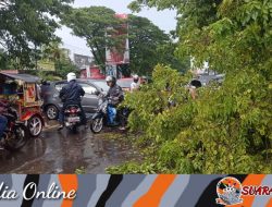 Breaking News : Perbatasan Gowa-Makassar Macet Parah Akibat Pohon Tumbang