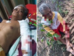 Nyawa Kakek Berusia 80 Tahun Nyaris Hilang Ditangan 13 Pelaku
