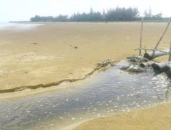 Aktivis Poros Rakyat Takalar Menyoroti Tambak Udang Yang diduga Mencemari Laut