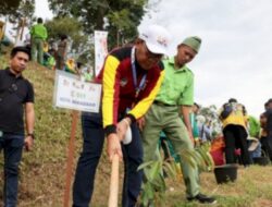 Buat Kebun APEKSI, Wali Kota Makassar Danny Tanam Pohon Durian di Padang