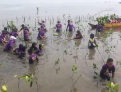 Besok, Ribuan Pelajar Akan Lakukan Aksi Tanam Mangrove Dalam Rangka Memperingati Hari Jadi Sulsel Ke-353