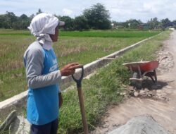 Petani di Gowa Bersyukur Adanya Program Tata Guna Irigasi Skema PKT 2022 Oleh BBWS Pompengan Jeneberang