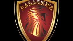 Apa itu Ormas Pemuda BALADEWA Indonesia yang akan didirikan di Sulsel?